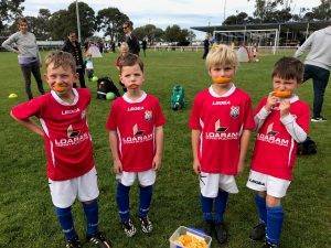 Geelong MiniRoos players